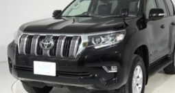 2019 Toyota Prado TX Grade